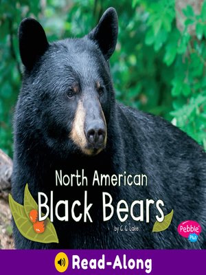 cover image of North American Black Bears